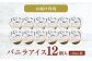 バニラアイスクリーム 12個入 アイス 添加物不使用  [ATAC216]