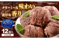 チョコレートアイスクリーム 12個入 アイス 【グレイジア株式会社】 [ATAC217]　アイス キャンデー バラエティ 詰め合わせ スイーツ おやつ 高知 アイス お取り寄せ 人気