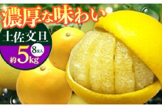 南国高知温室土佐文旦 約5kg 8玉 文旦 ぶんたん フルーツ 果物 5キロ 高知県 【フルーツショップオザキ】[ATAH015]