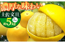 南国高知温室土佐文旦 約5kg 7玉 / ぶんたん 果物 フルーツ 高知名物 【フルーツショップオザキ】[ATAH016]