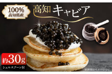 高知産熟成キャビア 約30g (化粧箱) シェルスプーン付Black Jewel 【興洋フリーズ株式会社】 [ATBX010]