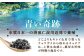 高知産熟成キャビア 約30g (化粧箱) シェルスプーン付Black Jewel 【興洋フリーズ株式会社】 [ATBX010]