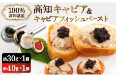 高知産熟成「キャビア キャビアフィッシュペースト」贈答セット 【興洋フリーズ株式会社】 [ATBX011]