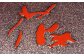 「土佐古代塗」9寸盛皿 (27cm) 【美禄堂】 [ATBF027]