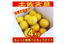 【訳あり】土佐文旦 約4kg 追熟旨味UP 家庭用サイズ S～2L ブンタン ぶんたん 〈2025年2月～発送〉【グレイジア株式会社】 [ATAC475] 訳あり 不揃い 規格外