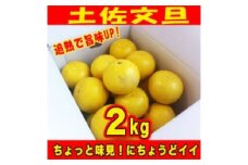 【訳あり】土佐文旦 約2kg 追熟旨味UP 家庭用 サイズ S～2L ブンタン ぶんたん〈2025年2月～発送〉 【グレイジア株式会社】 [ATAC476] 訳あり 不揃い 規格外