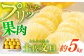 文旦 ぶんたん ブンタン 柑橘 果物 フルーツ 高知 土佐文旦