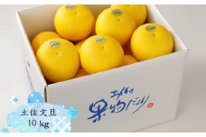 【終了間近！申込は4月下旬頃まで】よりすぐりの土佐文旦 約10kg (2Lサイズ 20玉程度)【有限会社　武田青果】 [ATBB002] ぶんたん ブンタン 柑橘 果物 フルーツ 高知