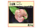土佐鴨 レバー (フレッシュ冷蔵) 約1kg 土佐鴨 土佐ジロー飼育研究会  [ATAC591]