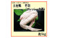 土佐鴨 手羽 (フレッシュ冷蔵) 約1kg 土佐鴨 土佐ジロー飼育研究会  [ATAC594]