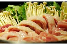 土佐鴨 かも鍋セット 土佐鴨 土佐ジロー飼育研究会 【グレイジア株式会社】 [ATAC585] 鴨 かも カモ とさがも 肉