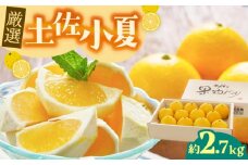 【先行予約・申込は6月下旬頃まで】厳選 土佐小夏 約2.7kg 【有限会社 武田青果】高知 小夏 コナツ こなつ 果物 柑橘 フルーツ】 [ATBB003]