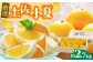 【先行予約】厳選 土佐小夏 約2.7kg 〈2025年3月～発送〉【有限会社 武田青果】 [ATBB003]