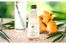 土佐山ジンジャエール辛口Mセット（200ｍｌ×4本）【一般財団法人夢産地とさやま開発公社】 [ATBH012]