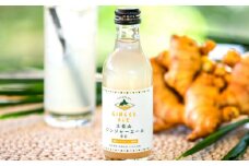 土佐山ジンジャエール辛口・マイルドセット（200ｍｌ×計4本）【一般財団法人夢産地とさやま開発公社】 [ATBH014]