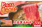 土佐黒毛和牛　ロースしゃぶしゃぶ用　約500g【（有）蔵多堂】 [ATAE006]