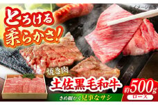 土佐黒毛和牛　ロース　焼き肉　約500g【（有）蔵多堂】 [ATAE011]