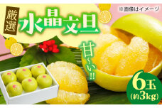 【先行予約】厳選 水晶文旦 約3kg 5～6玉入り 〈2025年9月～発送〉【有限会社 武田青果】 [ATBB005]