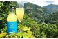 土佐山ゆずスカッシュ M(200ml)　6本入り [ATBH001]
