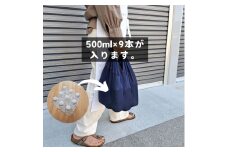 メッシュのエコバッグ enmusubiネイビー ステッチブルー / 贈答用　包装　防災グッズ　防災バッグ【工房eco・ふ〜せん】 [ATEH002]