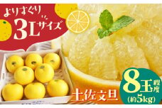 よりすぐりの土佐文旦 約5kg (3Lサイズ 8玉程度) 〈2025年2月～発送〉【有限会社 武田青果】 [ATBB008]