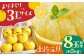 【先行予約】よりすぐりの土佐文旦 約5kg (3Lサイズ 8玉程度) 〈2025年2月～発送〉【有限会社 武田青果】 