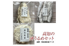 高知の沖うるめセット (沖うるめのメンチカツ4枚、沖うるめのフライ6枚、沖うるめの唐揚げ6尾) 桂フーズ 冷凍便 沖ウルメ ニギス カルシウム豊富 【グレイジア株式会社】 [ATAC162]  めんちかつ サンドイッチ おかず 晩ごはん 揚げ物 高知