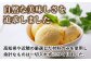 無添加 プレミアムアイスクリーム (12個入り) 【cafe du glace】 [ATCL003]