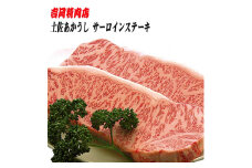 土佐あかうし サーロインステーキ (約250g×2枚) 幻の和牛 【グレイジア株式会社】 [ATAC025]　牛肉 肉 お肉 和牛 土佐和牛 国産 牛 もも モモ 赤身 高知 あかうし 赤牛