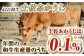 牛肉 肉 お肉 和牛 土佐和牛 国産 牛 もも モモ 赤身 高知 あかうし しゃぶしゃぶ すき焼き