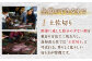 鰹生節いろいろ 4本セット (かつお生節、初かつおしょうゆ味、初かつおしょうが味、初かつおゆず味 各1本) 食べやすい カツオ 