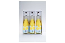 高知県産小夏100％ジュース 720ml×3本　【株式会社にしごみ】 [ATEA005]