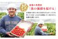【先行予約】煌稀の果実 高知市春野町産 苺 大粒 (約360g 9または12粒)