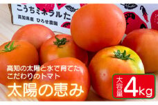 大容量4kg 高知の太陽と水で育てたこだわりのトマト「太陽の恵み」!! 【株式会社　羽根】 [ATCK001]
