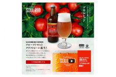 クラフトビール ソウルレッド6本セット 【株式会社　堀】 [ATDA004]