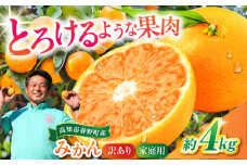 高知市春野町 西込さんの美味しいみかん 約4kg ご家庭用 ワケあり 【株式会社 四国健商】 [ATAF011] みかん ミカン 蜜柑 甘い 美味しい おすすめ
