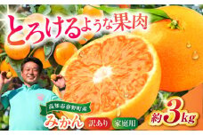 高知市春野町 西込さんの美味しいみかん 約3kg ご家庭用 ワケあり 【株式会社 四国健商】 [ATAF012]　みかん ミカン 蜜柑 甘い 美味しい おすすめ