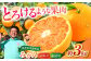 みかん ミカン 蜜柑 甘い 美味しい おすすめ