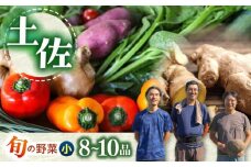 【栽培期間中農薬・化学肥料不使用】土佐の太陽をいっぱいに浴びた旬の野菜セット「小」【土佐野菜】 [ATBA001]
