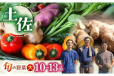 土佐の太陽をいっぱいに浴びた旬の野菜セット「大」【土佐野菜】 [ATBA002]