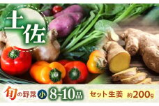 土佐の太陽をいっぱいに浴びた旬の野菜生姜約200gのセット「小」【土佐野菜】 [ATBA003]