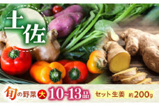 土佐の太陽をいっぱいに浴びた旬の野菜生姜約200gのセット「大」【土佐野菜】 [ATBA004]