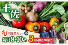 【3回定期便】 土佐の太陽をいっぱいに浴びた旬の野菜セット小 　野菜  定期便  やさい 高知市 詰め合わせ 旬 【土佐野菜】 [ATBA005]
