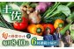 【6回定期便】 土佐の太陽をいっぱいに浴びた旬の野菜セット小 【土佐野菜】 [ATBA006]