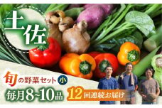 【12回定期便】 土佐の太陽をいっぱいに浴びた旬の野菜セット小 　野菜 定期便 やさい 高知市 詰め合わせ  【土佐野菜】 [ATBA007]