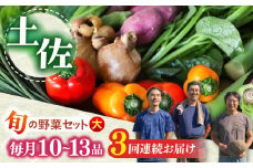 【3回定期便】 土佐の太陽をいっぱいに浴びた旬の野菜セット「大」 (3回配送)【土佐野菜】[ATBA008]