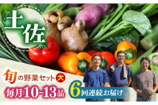 【6回定期便】土佐の太陽をいっぱいに浴びた旬の野菜セット「大」 (6回配送)【土佐野菜】 [ATBA009]