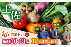 【12回定期便】土佐の太陽をいっぱいに浴びた旬の野菜セット「大」 (12回配送)【土佐野菜】 [ATBA010]