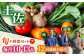 【12回定期便】土佐の太陽をいっぱいに浴びた旬の野菜セット「大」 (12回配送)【土佐野菜】 [ATBA010]