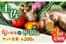 【3回定期便】 土佐の太陽をいっぱいに浴びた旬の野菜生姜約200gのセット「小」 【土佐野菜】 [ATBA011]
